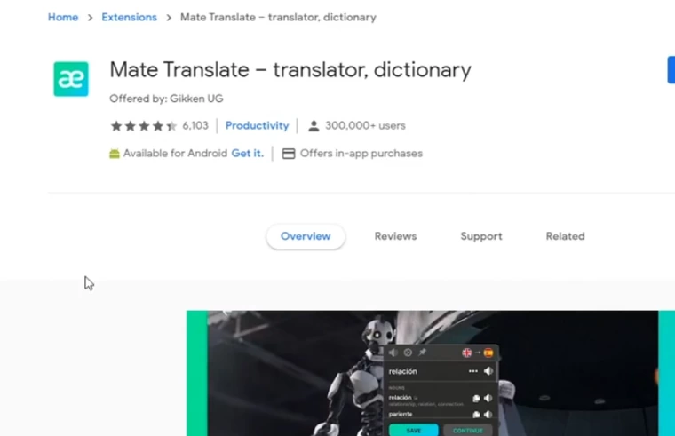 Mate Translate para Safari.